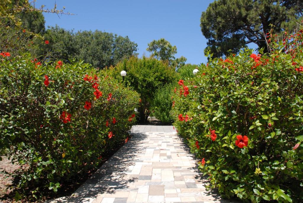 Niki Hotel Apartments Ialysos  Exterior foto
